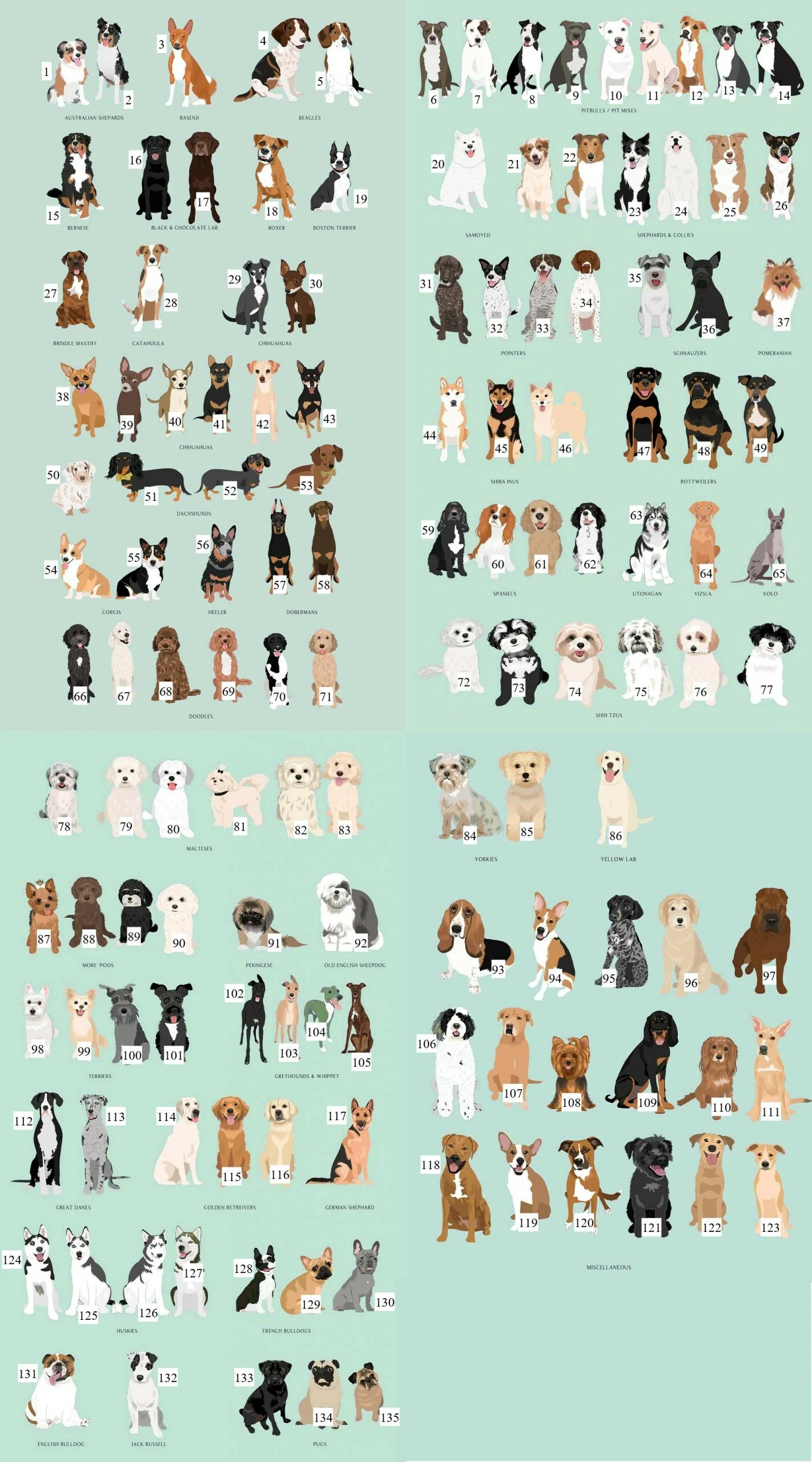 Personalised Dog Toy Tub - Image 3