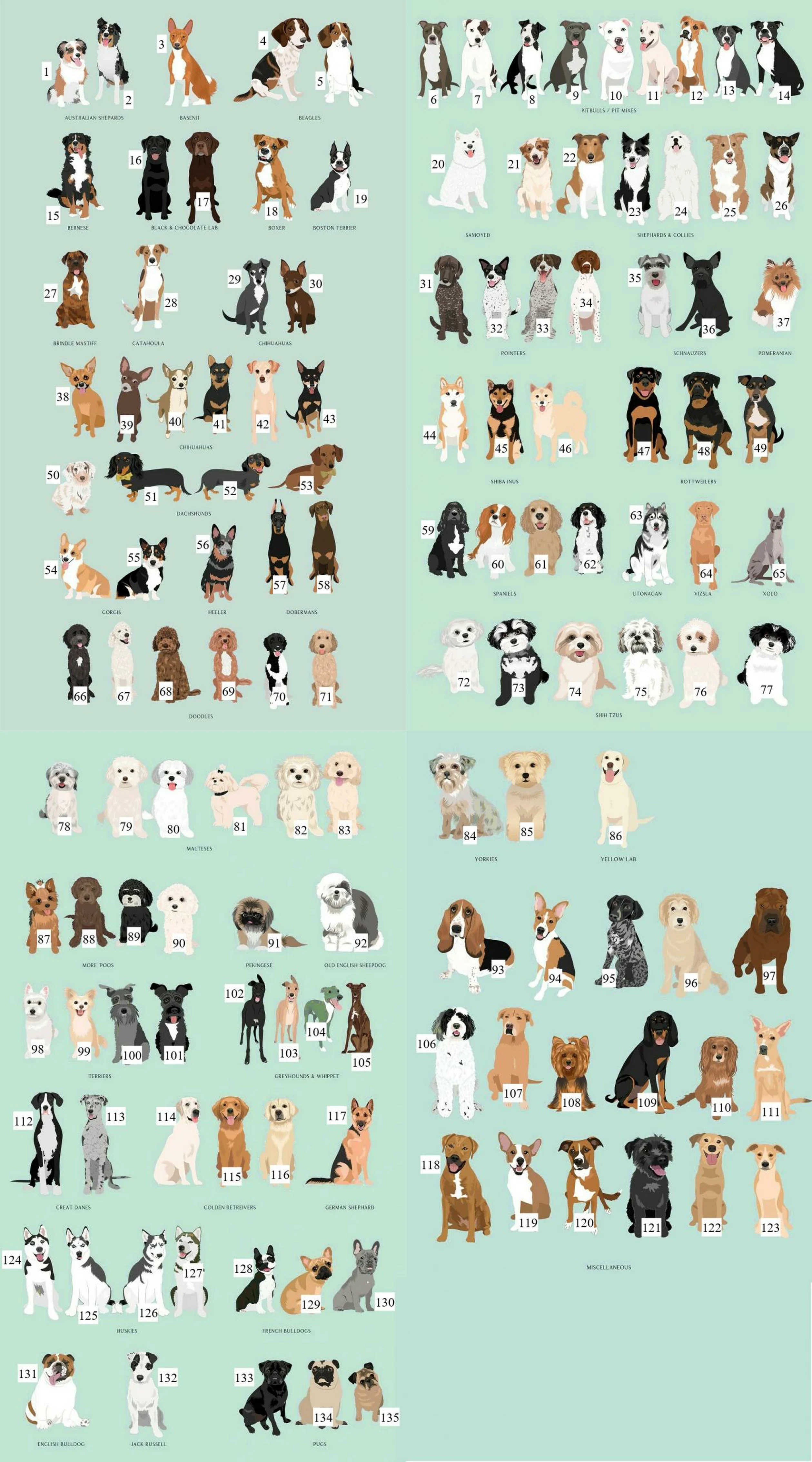 Personalised Loved and Protected By Dogs Babygrow/Baby Vest - Image 4