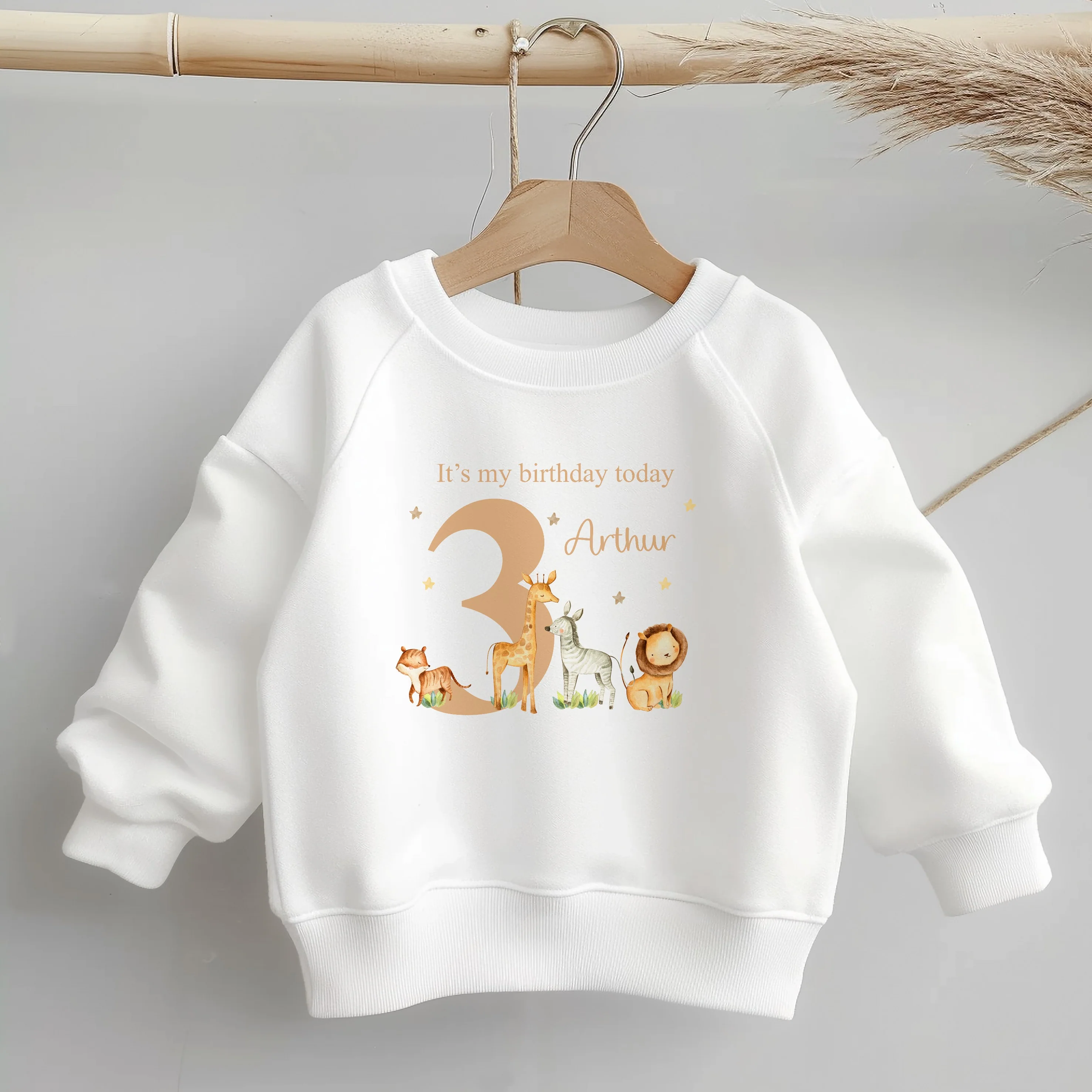 Personalised Beige Jungle Safari Any Age Birthday Sweatshirt - Image 2