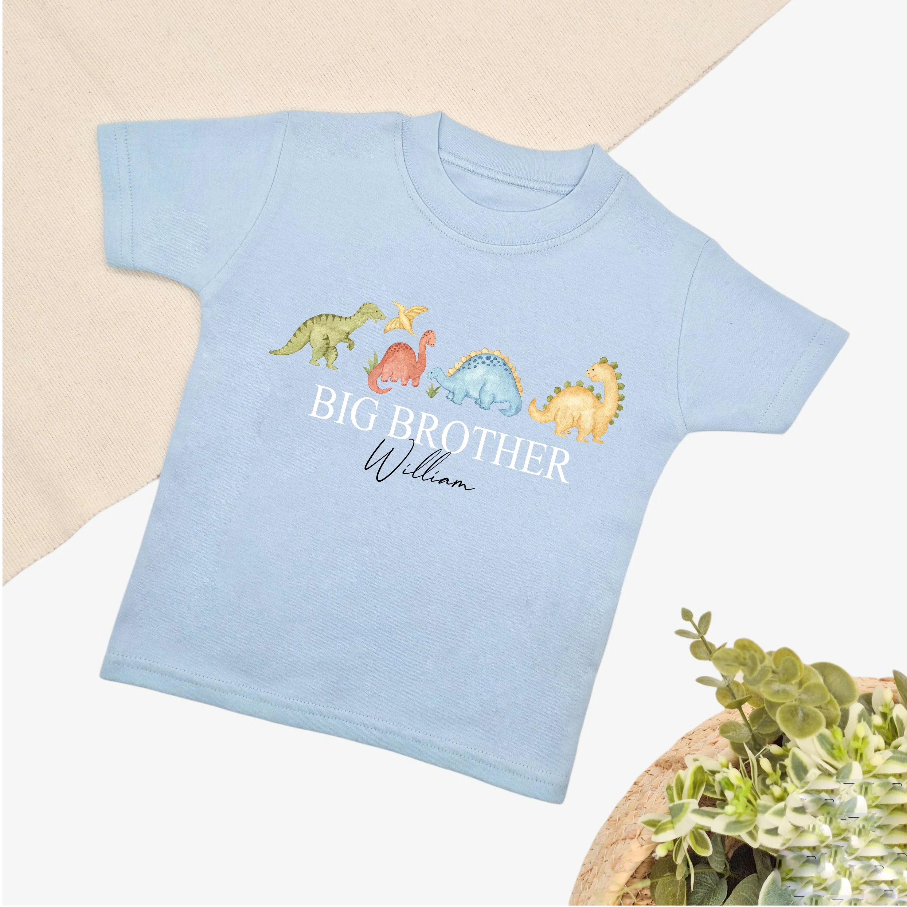 Personalised Dinosaur Sibling Matching Blue Babygrow/T-shirt - Image 5