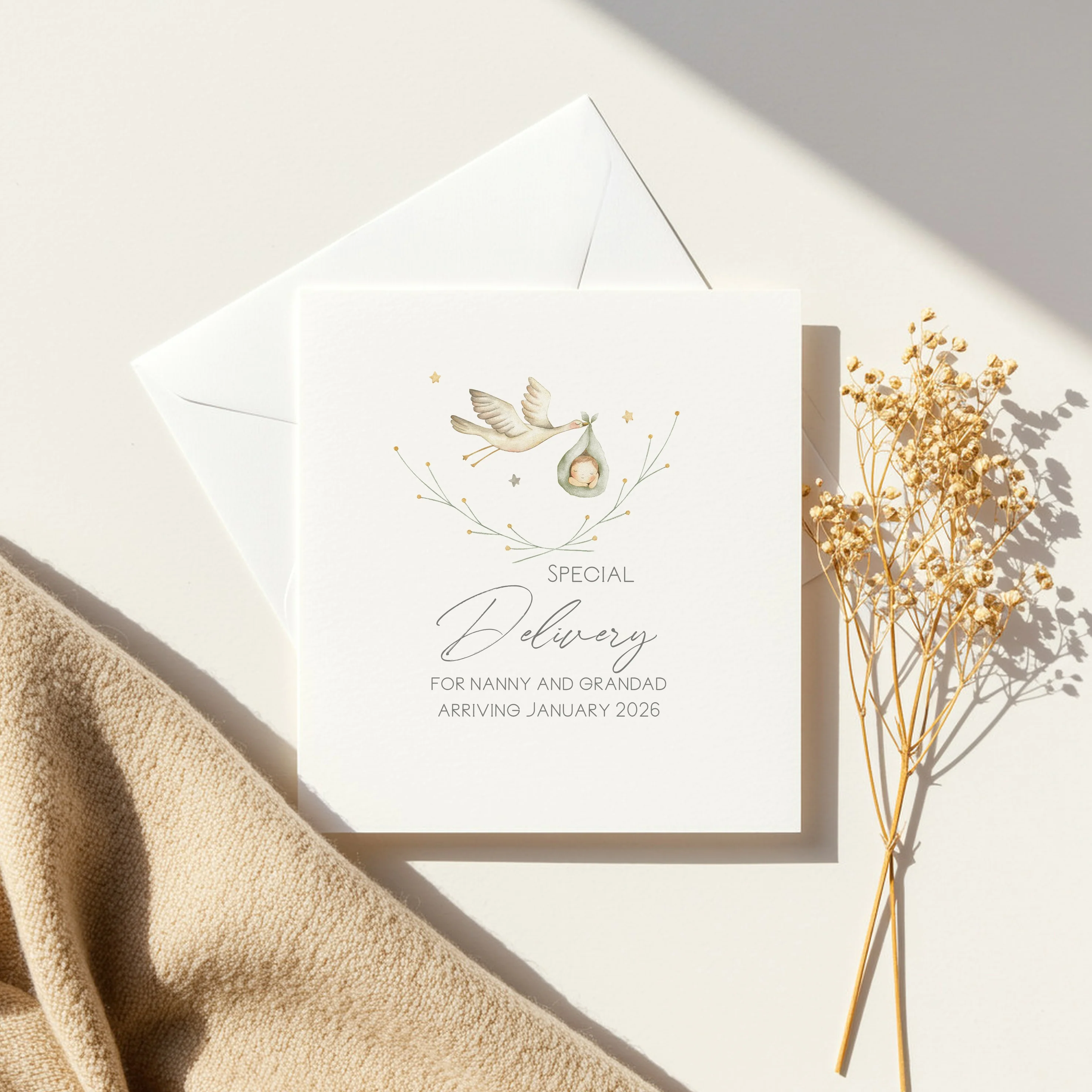 Special Delivery Stork Baby Annoucement Card - Image 5