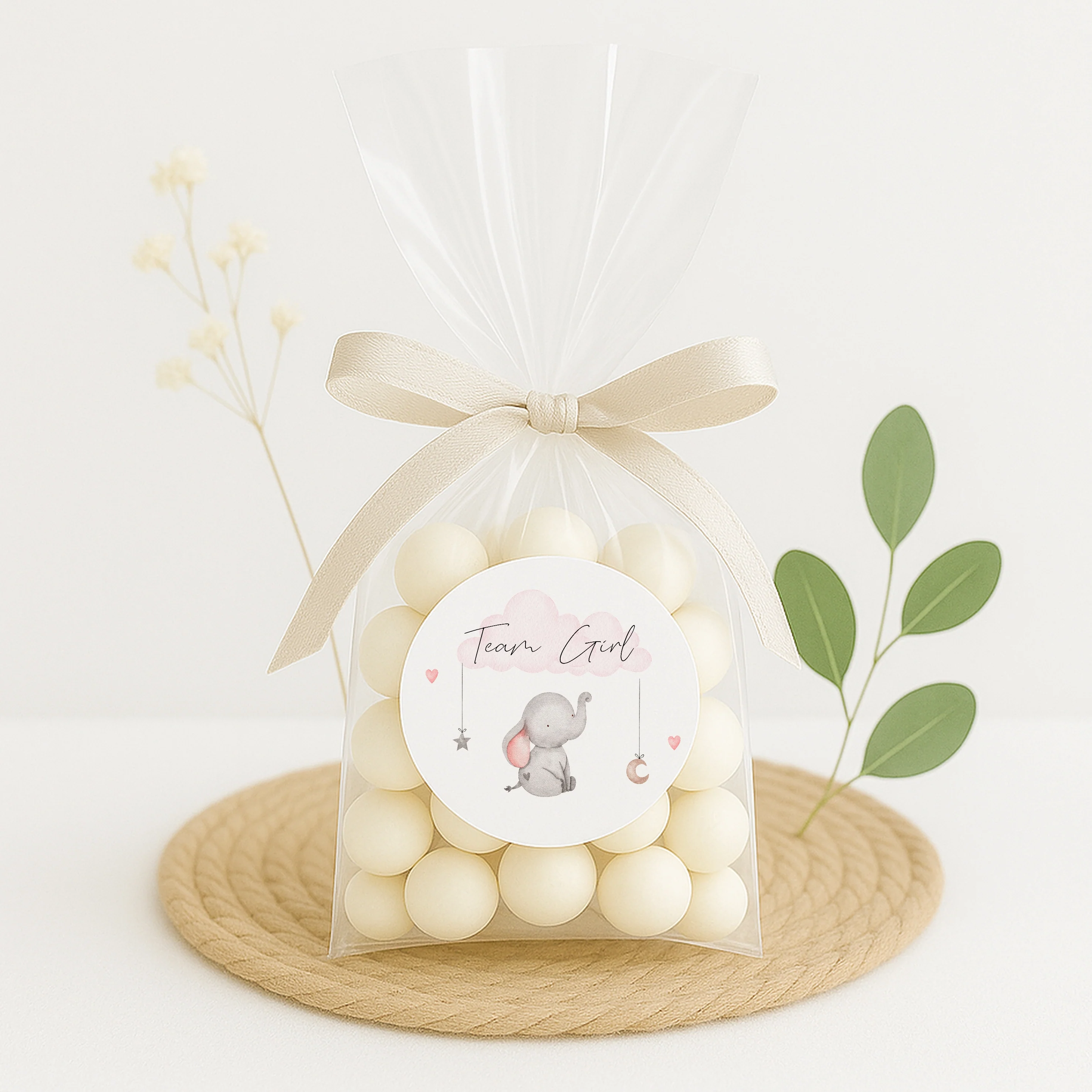 Team Boy/Girl Elephant Gender Reveal Stickers - Image 8