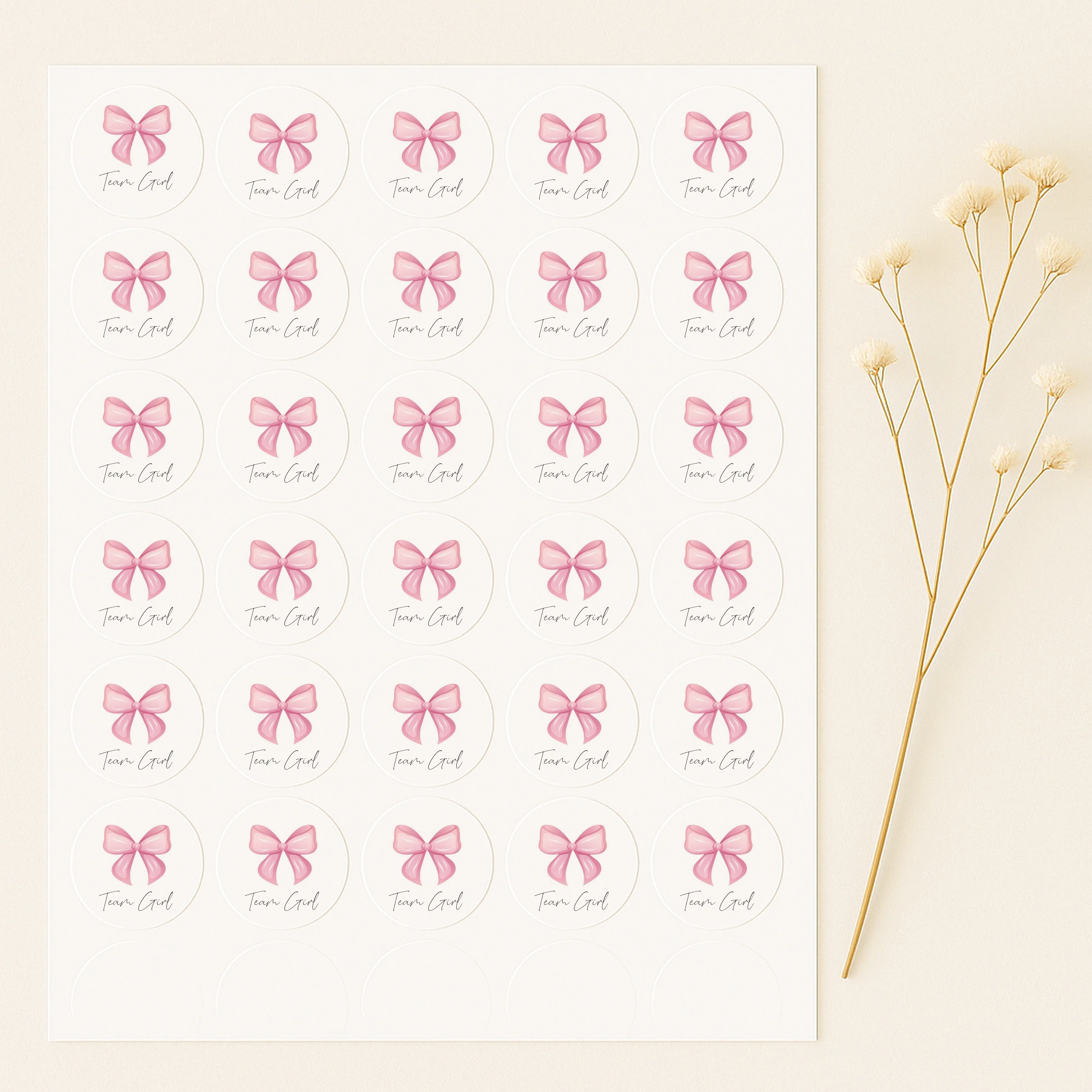 Team Boy/Girl Gender Reveal Stickers - Image 8